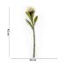 Haste de Flor Artificial Protea Creme Outono 42 cm - D'Rossi