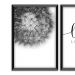 Kit 03 Quadros Decorativos "Love Lives" 43X33X1CM - D'Rossi