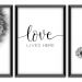 Kit 03 Quadros Decorativos "Love Lives" 43X33X1CM - D'Rossi