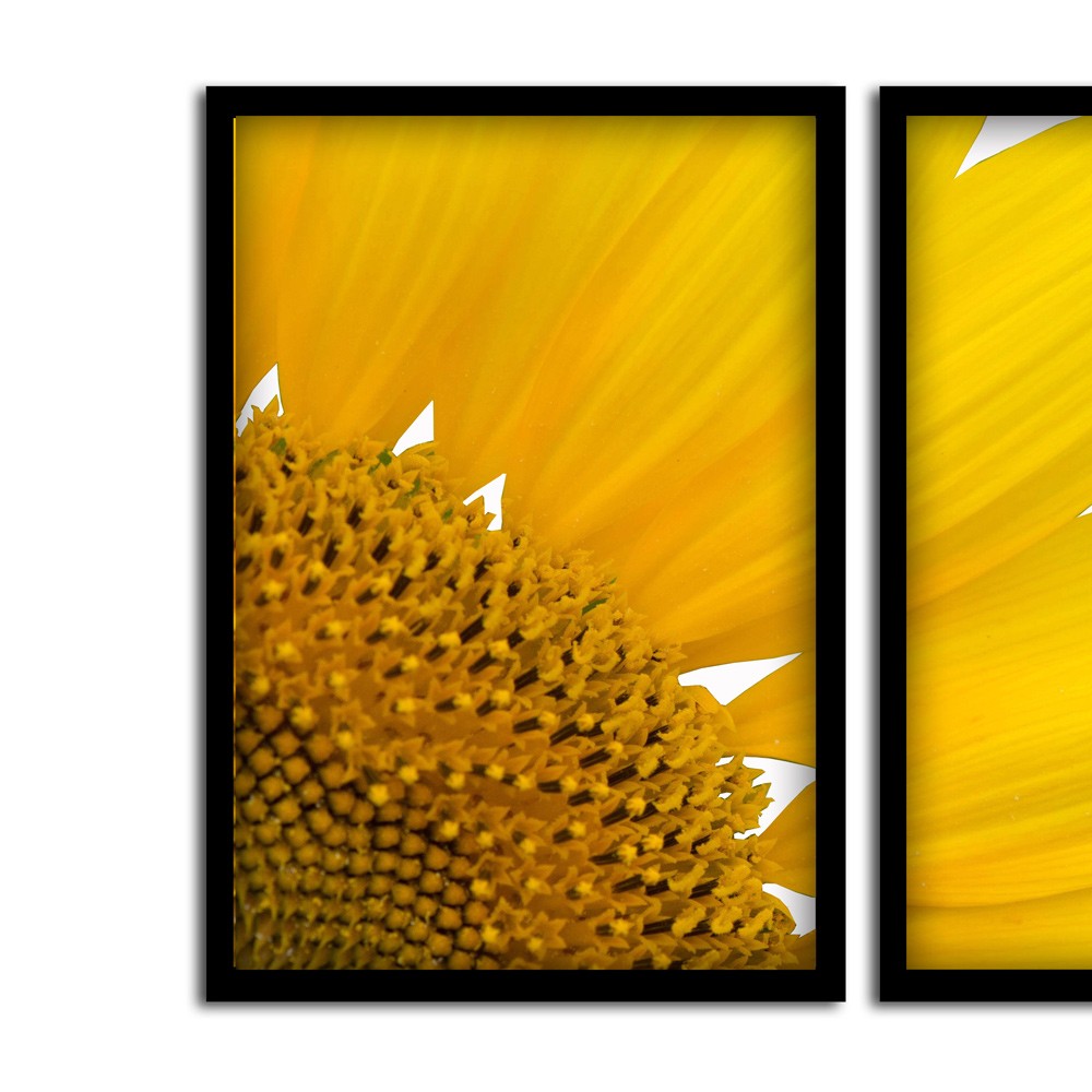 Kit 03 Quadros Decorativos "Motivação" 43X33X1CM - D'Rossi