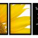 Kit 03 Quadros Decorativos "Motivação" 43X33X1CM - D'Rossi