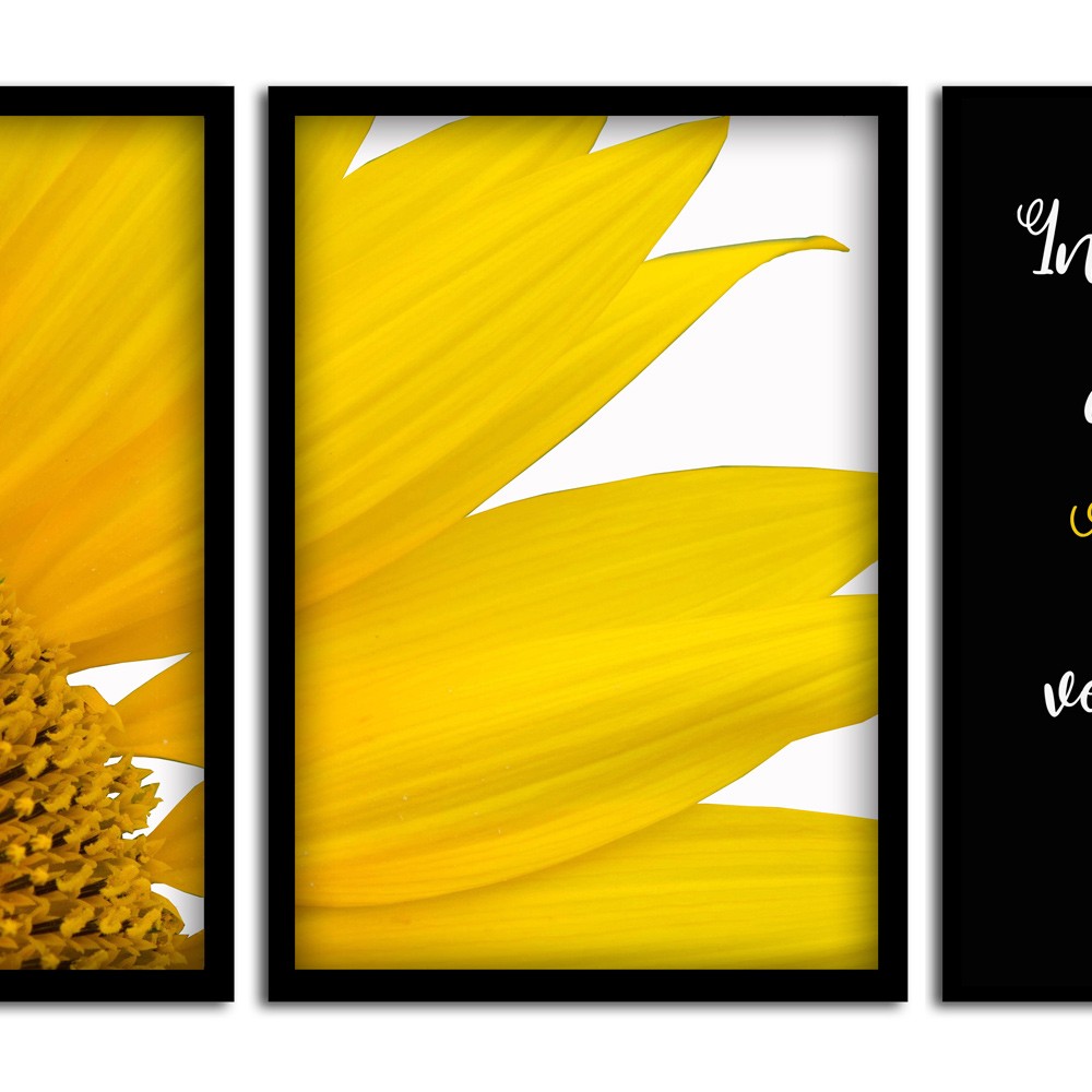 Kit 03 Quadros Decorativos "Motivação" 43X33X1CM - D'Rossi