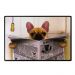 Kit 04 Placas de MDF Decorativas Dog 19,5x29,5 - D'Rossi