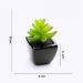 Kit 06 Suculentas Artificial Sortida Vaso Preto Unidades 6x6 cm - D'Rossi