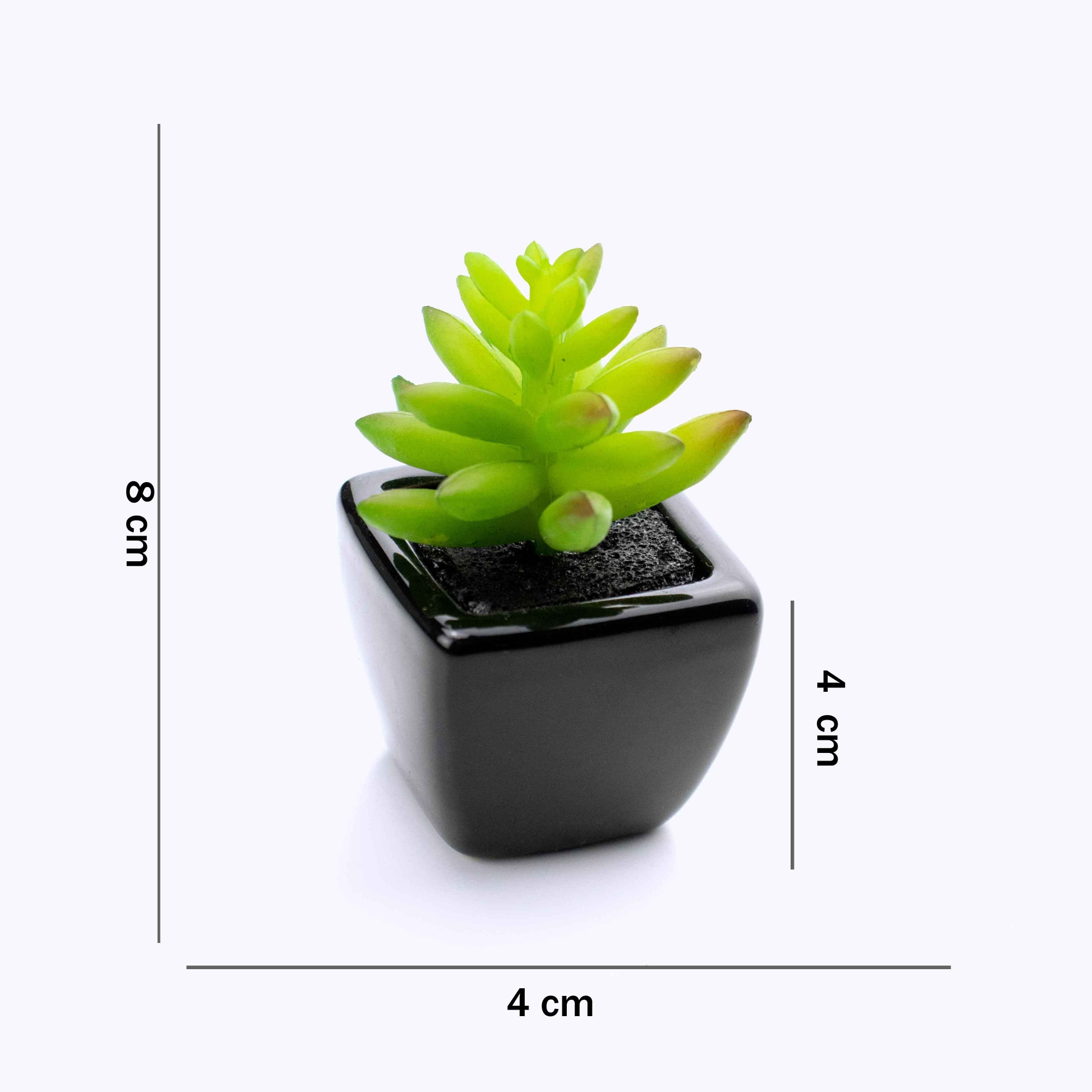 Kit 06 Suculentas Artificial Sortida Vaso Preto Unidades 6x6 cm - D'Rossi