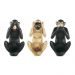 Kit Escultura Decorativa Decorativa Macaco Da Sabedoria - D'Rossi