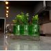 Kit com 3 Vasos de Vidro Verde com Suporte Dourado 13x21 cm - D'Rossi