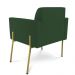 Poltrona Pé de Ferro Dourado para Salão Kit 2 Marisa Veludo Verde D03 - D'Rossi