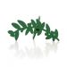 Porta Guardanapo Natal Folhagem Verde 9,5 cm - D'Rossi