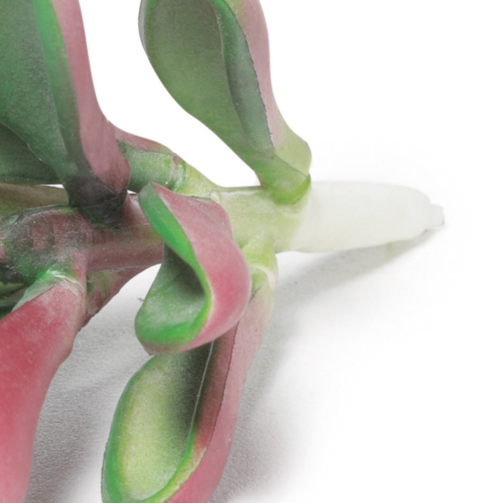 Suculenta Artificial Decorativa 10,5 x 6cm D'Rossi