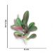 Suculenta Artificial Decorativa 10,5 x 6cm D'Rossi
