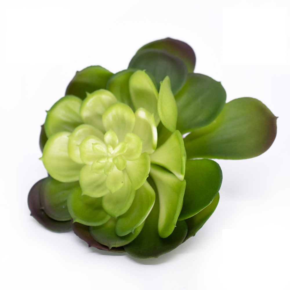 Suculenta Planta Artificial Verde 14x16 cm - D'Rossi