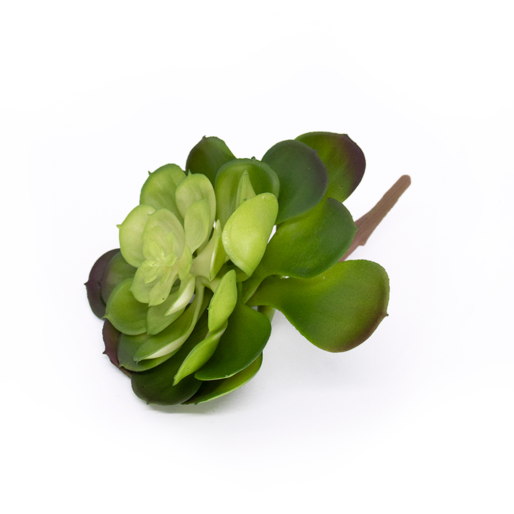 Suculenta Planta Artificial Verde 14x16 cm - D'Rossi