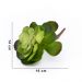 Suculenta Planta Artificial Verde 14x16 cm - D'Rossi