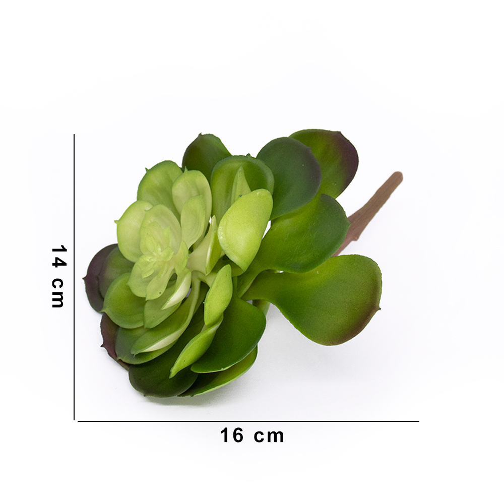 Suculenta Planta Artificial Verde 14x16 cm - D'Rossi