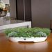 Vaso Bacia Decorativo Osaka Branco P 7x46x35 cm - D'Rossi