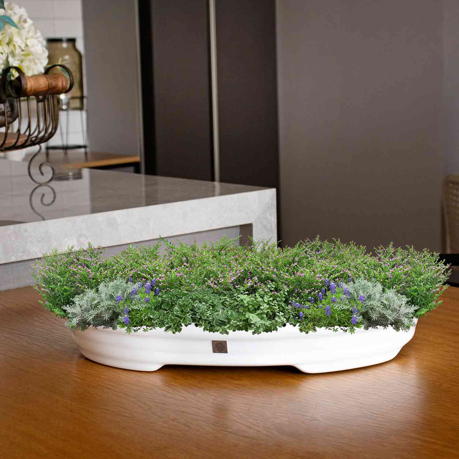 Vaso Bacia Decorativo Osaka Branco P 7x46x35 cm - D'Rossi