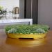 Vaso Bacia Decorativo Osaka Dourado P 7x46x35 cm - D'Rossi