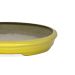 Vaso Bacia Decorativo Osaka Dourado P 7x46x35 cm - D'Rossi