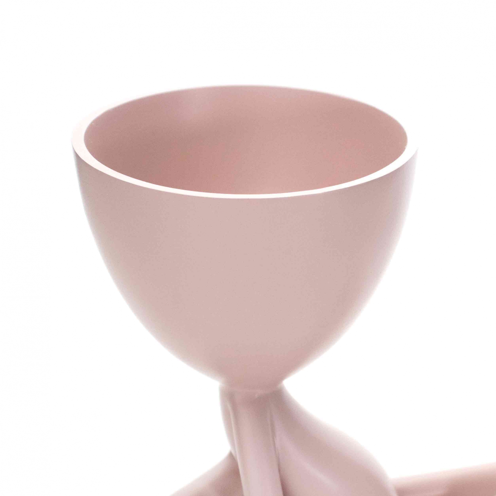 Vaso Decorativo Bob Robert Plant Deitado em Poliresina Rosa 13x14x10 cm - D'Rossi