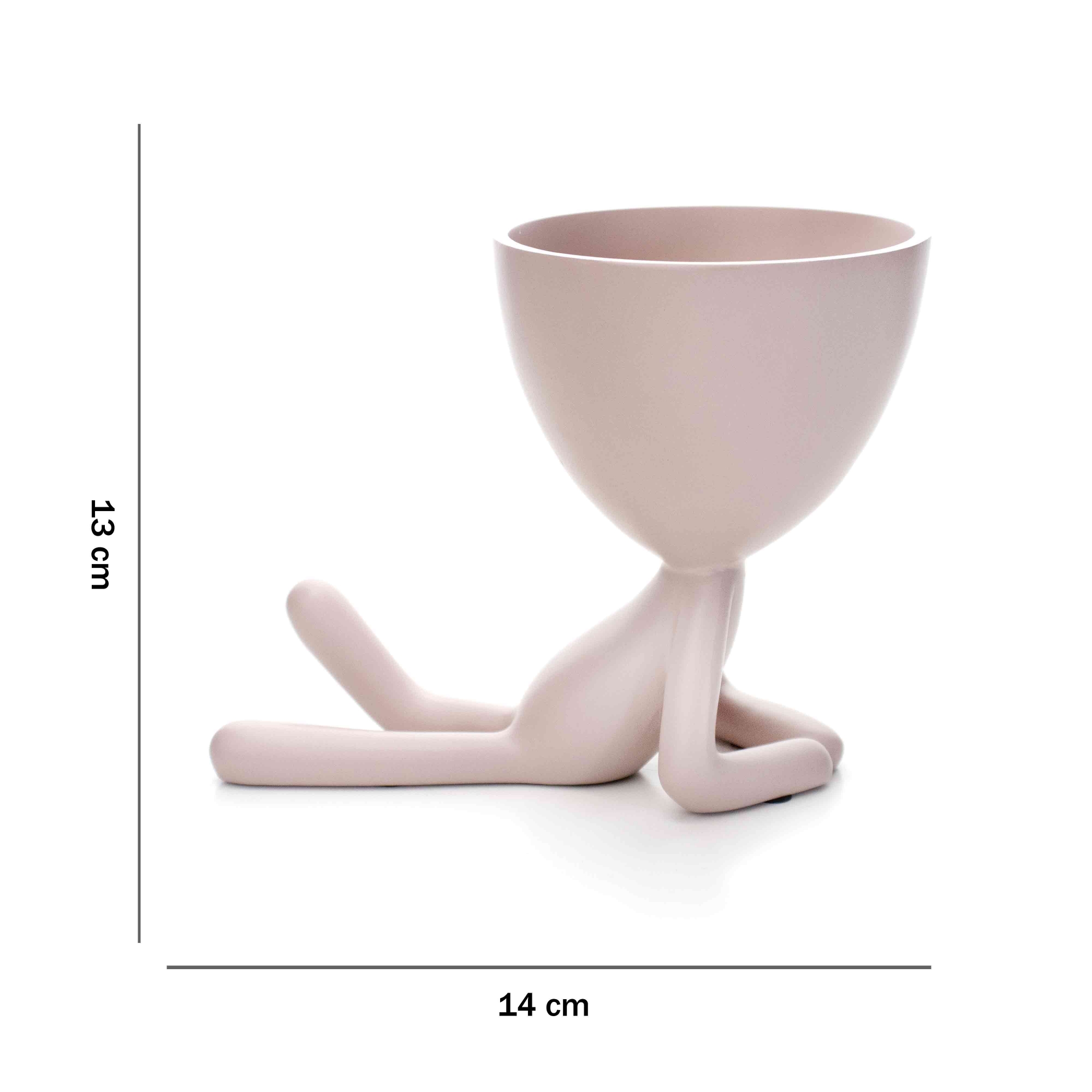 Vaso Decorativo Bob Robert Plant Deitado em Poliresina Rosa 13x14x10 cm - D'Rossi