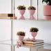 Vaso Decorativo Bob Robert Plant Sentando em Poliresina Rosa 18x10x10 cm - D'Rossi