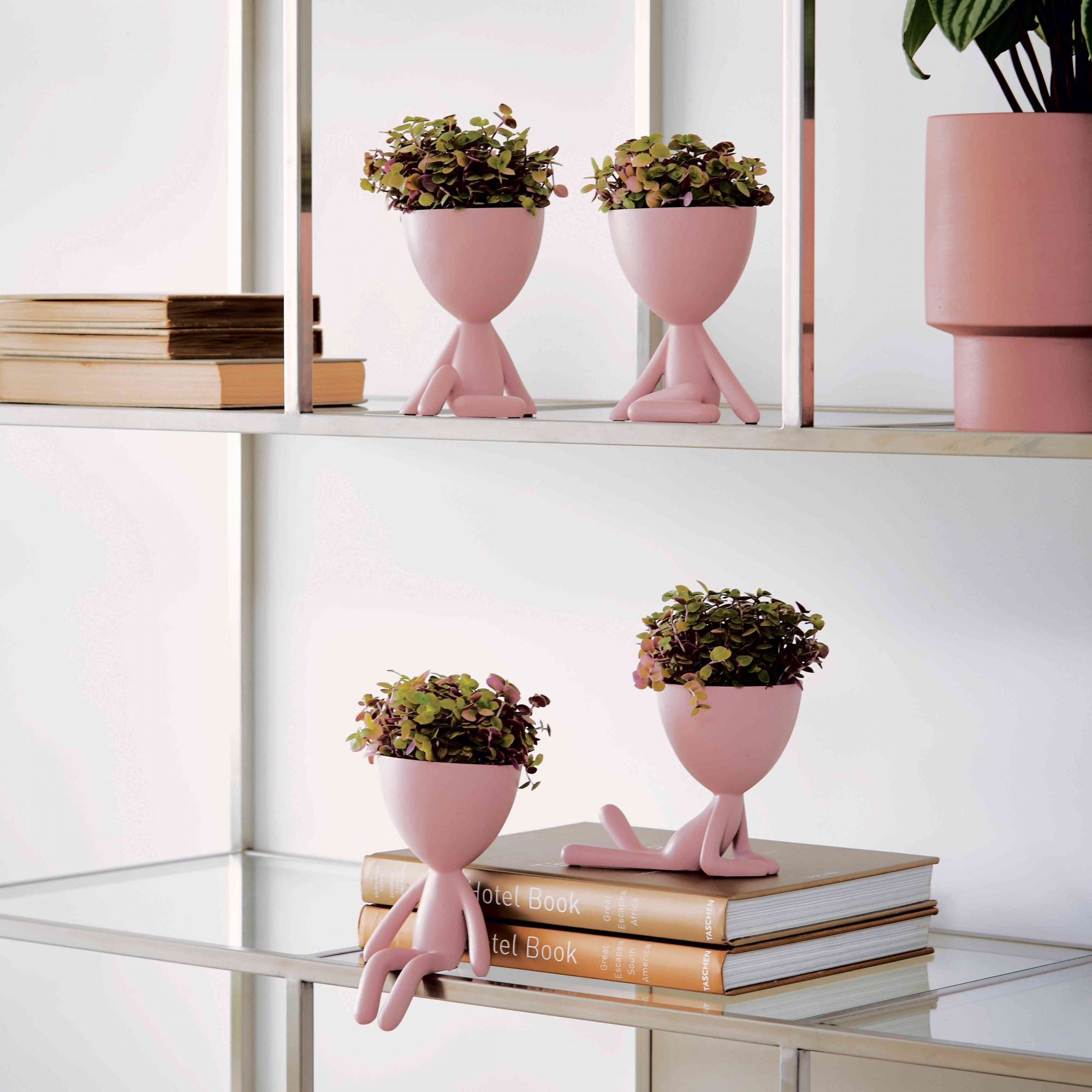 Vaso Decorativo Bob Robert Plant Sentando em Poliresina Rosa 18x10x10 cm - D'Rossi