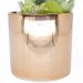 Vaso Decorativo Dourado com Cactos e Suculenta Artificial 19x8 cm F04 - D'Rossi