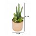 Vaso Decorativo Dourado com Cactos e Suculenta Artificial 19x8 cm F04 - D'Rossi
