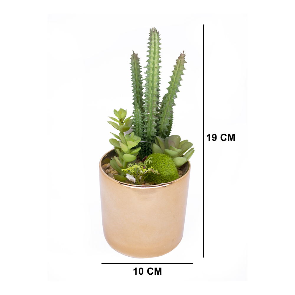 Vaso Decorativo Dourado com Cactos e Suculenta Artificial 19x8 cm F04 - D'Rossi