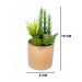 Vaso Decorativo Dourado com Mix de Suculentas Artificiais 19x8 cm F04 - D'Rossi