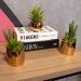 Vaso Decorativo Dourado com Suculenta Artificial Aloe Vera Mini 16x8 cm F04 - D'Rossi