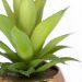 Vaso Decorativo Dourado com Suculenta Artificial Aloe Vera Mini 16x8 cm F04 - D'Rossi