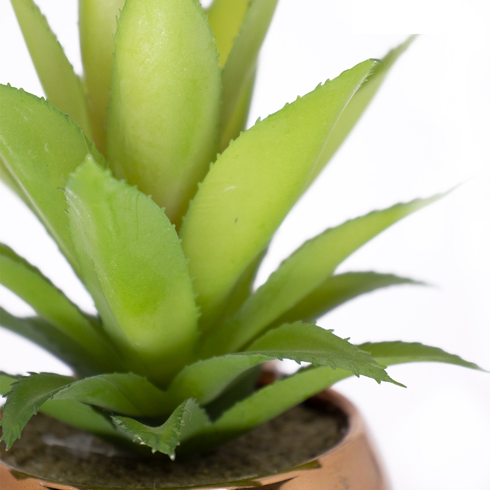 Vaso Decorativo Dourado com Suculenta Artificial Aloe Vera Mini 16x8 cm F04 - D'Rossi