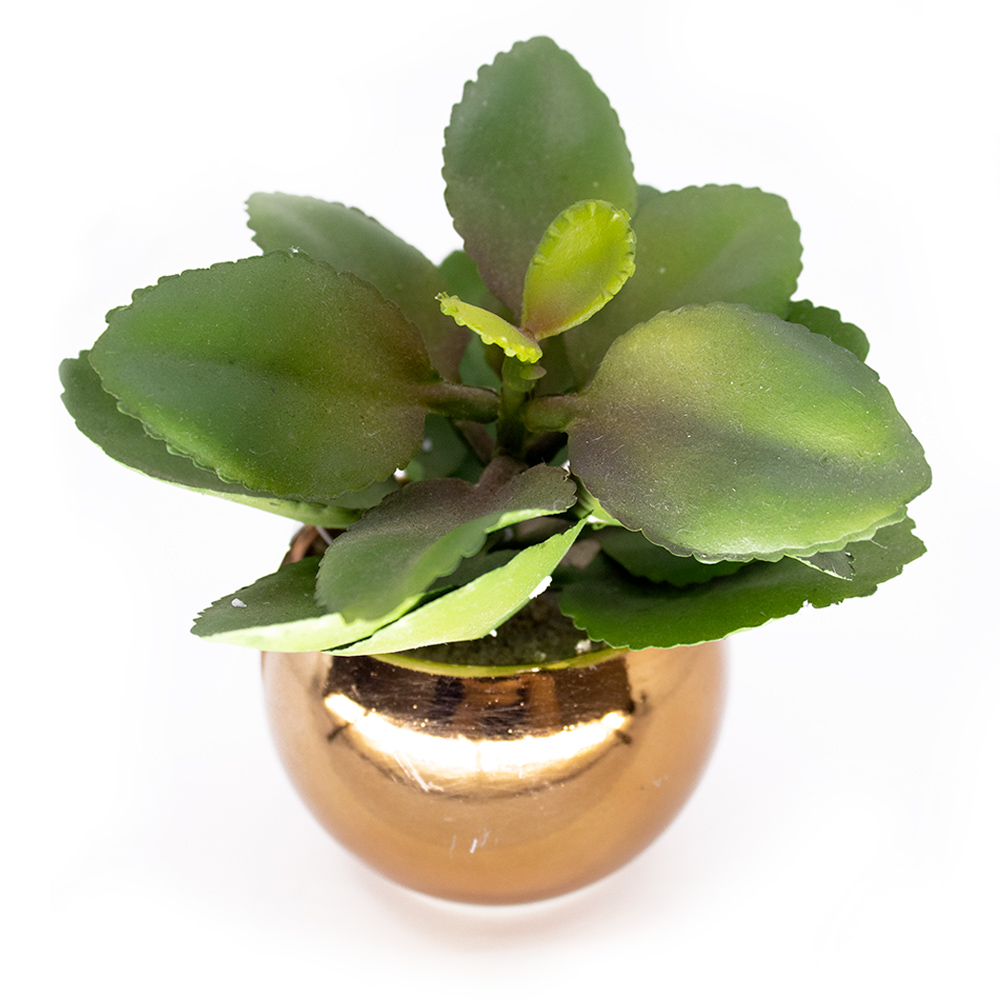 Vaso Decorativo Dourado com Suculenta Artificial Folha Baixa 15x8 cm F04 - D'Rossi