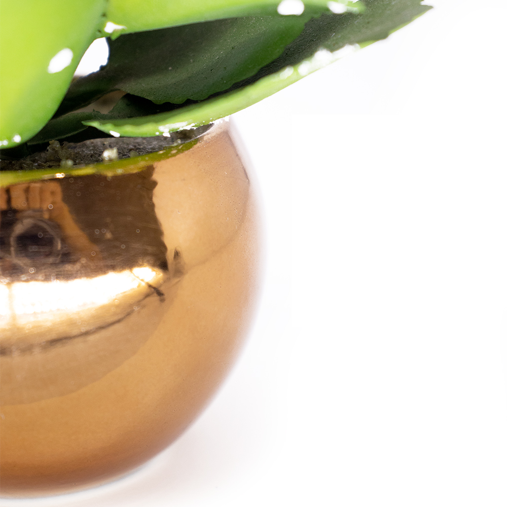Vaso Decorativo Dourado com Suculenta Artificial Folha Baixa 15x8 cm F04 - D'Rossi