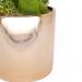 Vaso Decorativo Dourado com Suculentas Artificiais Sortidas 19x8 cm F04 - D'Rossi