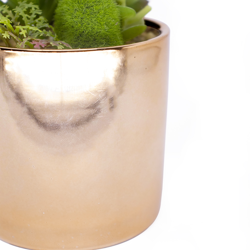 Vaso Decorativo Dourado com Suculentas Artificiais Sortidas 19x8 cm F04 - D'Rossi