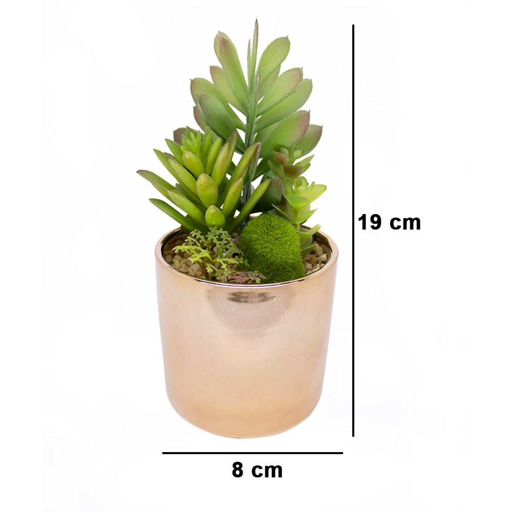 Vaso Decorativo Dourado com Suculentas Artificiais Sortidas 19x8 cm F04 - D'Rossi