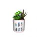 Vaso Decorativo em Cerâmica com Alça 12cm - D'Rossi