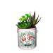 Vaso Decorativo em Ceramica com Alça 12,5cm - D'Rossi