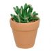 Vaso com Cacto Castelo de Fada Verde 14x6 cm - D'Rossi