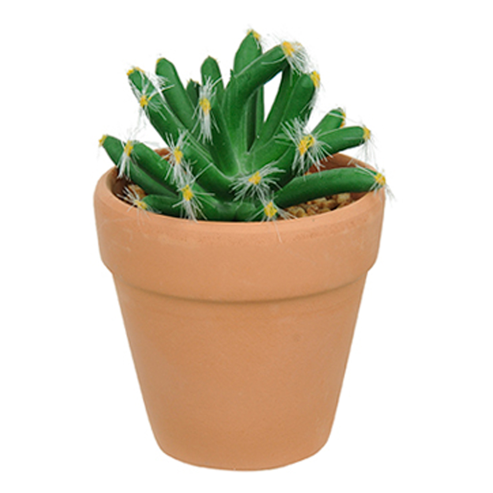 Vaso com Cacto Castelo de Fada Verde 14x6 cm - D'Rossi