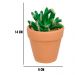 Vaso com Cacto Castelo de Fada Verde 14x6 cm - D'Rossi
