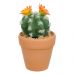 Vaso com Cacto Ferocactus Orcuttii Verde com Flor Amarela 14x6 cm - D'Rossi