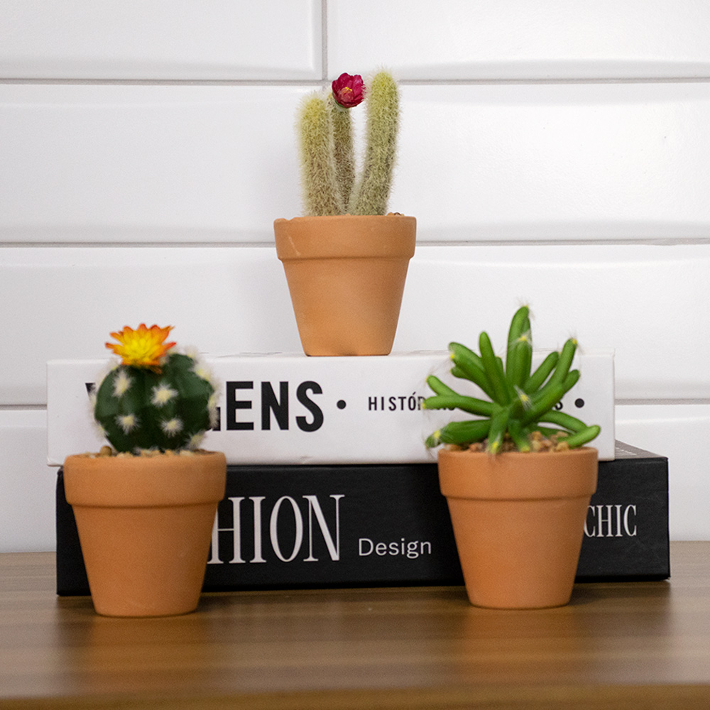 Vaso com Cacto Ferocactus Orcuttii Verde com Flor Amarela 14x6 cm - D'Rossi