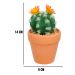 Vaso com Cacto Ferocactus Orcuttii Verde com Flor Amarela 14x6 cm - D'Rossi