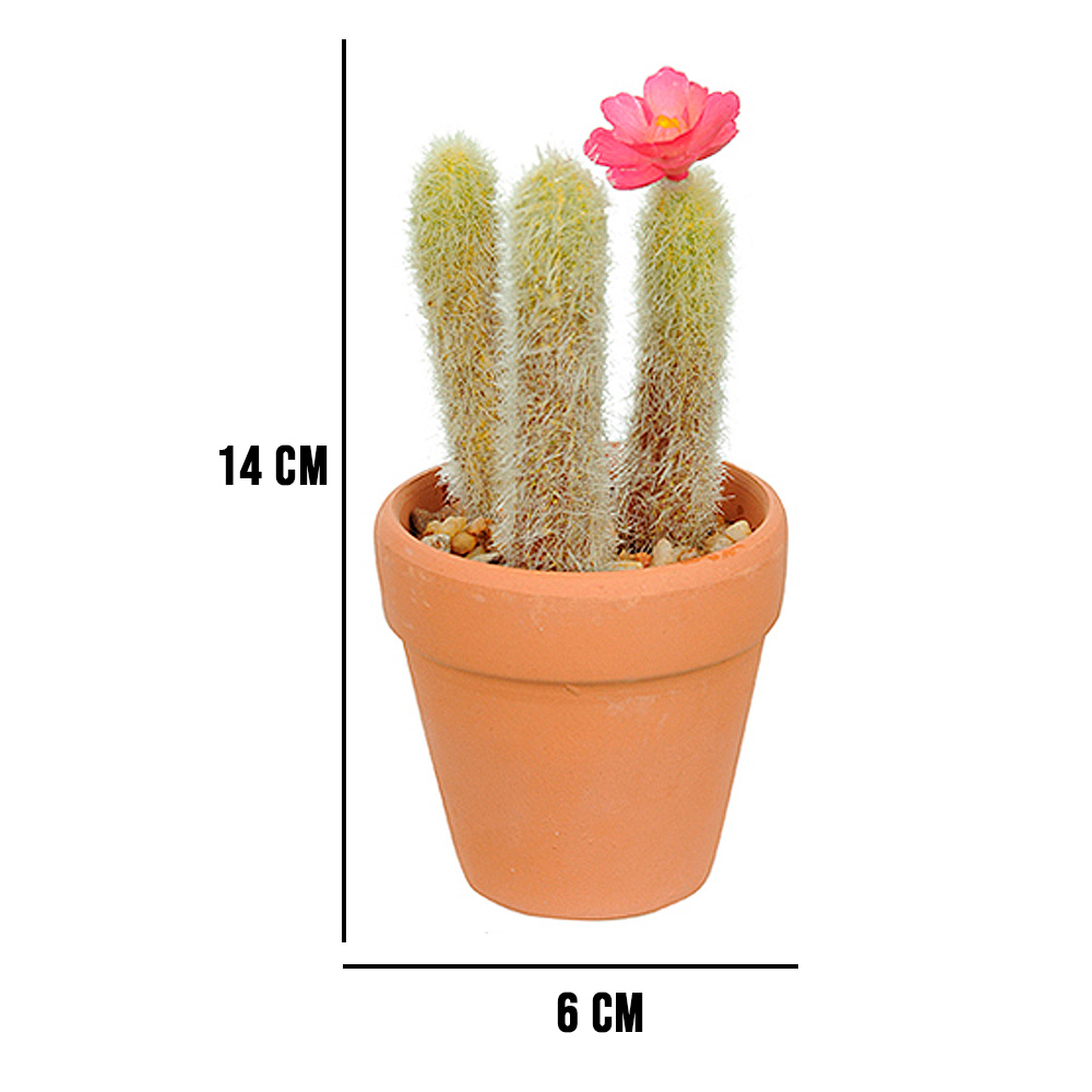 Vaso com Cacto Rabo de Gato Verde com Flor Rosa 14x6 cm - D'Rossi