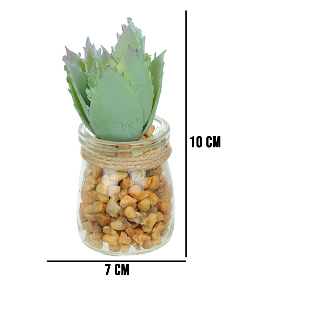 Vaso com Suculenta Folha Alta Verde Claro 10x7 cm - D'Rossi