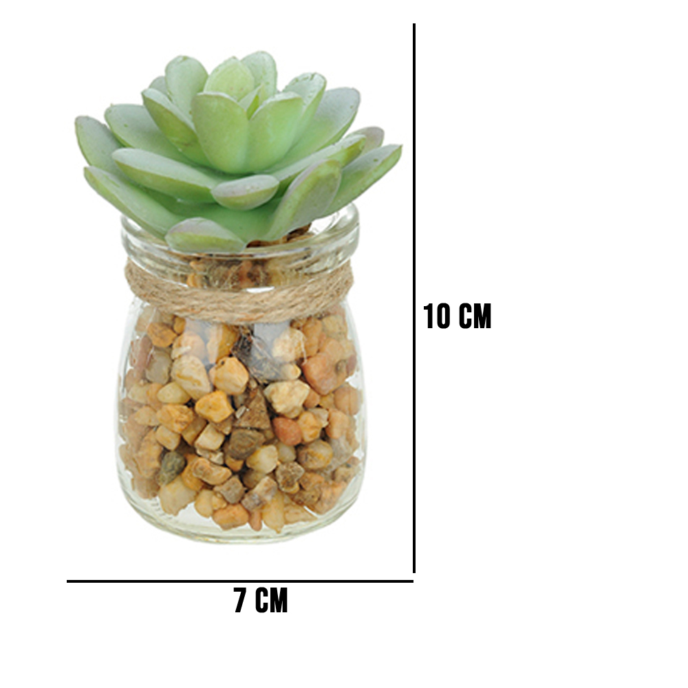 Vaso com Suculenta Folha Baixa Verde Claro 10x7 cm - D'Rossi